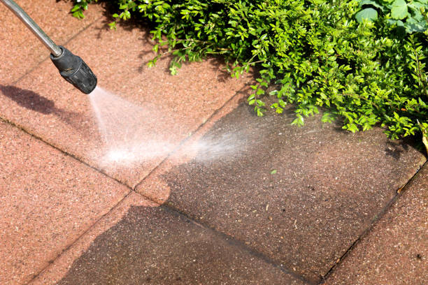 Best Best Pressure Washing Companies  in East Palatka, FL