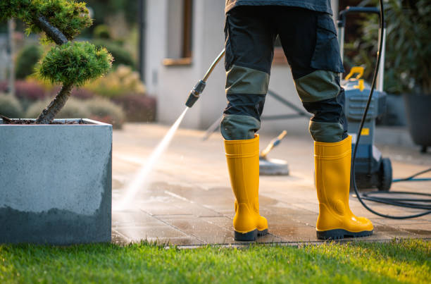 Best Roof Power Washing Services  in East Palatka, FL